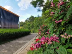 -求水山公园