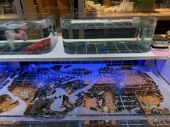 -北李·海肠捞饭·大连菜(望京凯德MALL店)