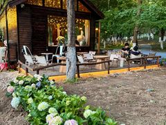 -长白岛森林公园