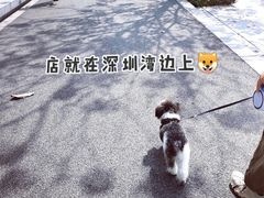 -BIGHEAD大头家咖啡馆(蛇口店)