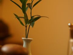 -小茶闲舍·观景商务茶馆(广州塔店)