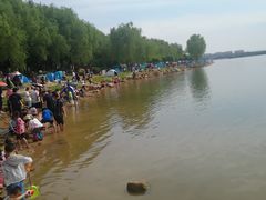 -丁香湖公园