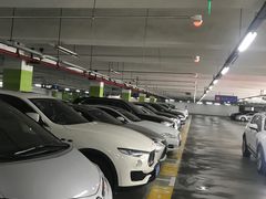 -上海浦东国际机场T1航站楼-P1停车场