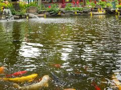 -白家大院·王府宫廷菜(苏州街店)
