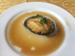 崂山鲍鱼-海岛渔村大酒店(云霄路店)