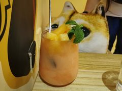 -喜柴咖啡·柴犬狗咖