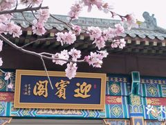 -桃花堤公园