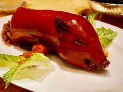 乳猪焗饭-8餐厅(新葡京酒店)