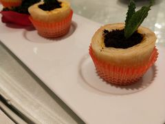 酥皮蛋挞-安蒂娅.悦景轩中餐厅(西乡店)