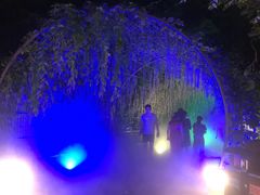 -大塘金香草谷