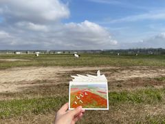 -盐城丹顶鹤湿地生态旅游区