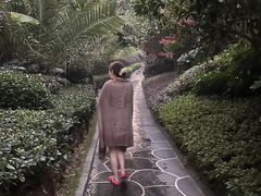 -腾冲洞山温泉村
