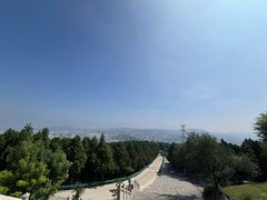 -原山国家森林公园