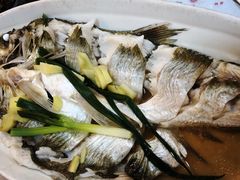 清蒸白鱼-观桥阁(锦溪店)