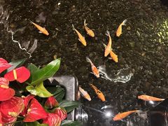-隐秀山居酒店·秀厨融合西餐厅