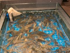 -星伦多自助料理(江阴万达店)