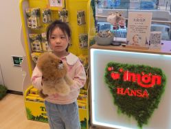 -IMON·HANSA潮玩玩偶毛绒玩具(通州万象汇店)