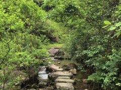 -东白山