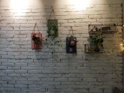 -翡艺写真馆·薇漫