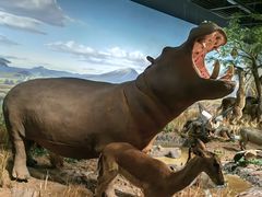 -陕西自然博物馆