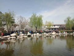 -西安青龙寺遗址景区