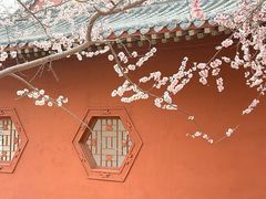 -桃花堤公园