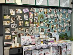 -爱妮康宠物医院·干细胞免疫细胞·肿瘤·心脏(张江店)