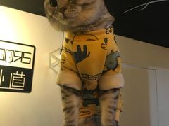 -Doors独立剧情密室(东门分店)