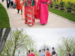 -杭州湾海上花田景区