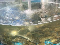 -仙螺岛海鲜自助餐厅(总店)