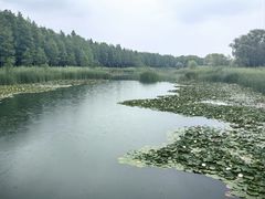 -苏州太湖湖滨国家湿地公园