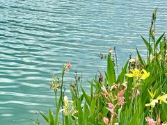 -水濂山森林公园