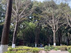 -苏州河梦清园环保主题公园