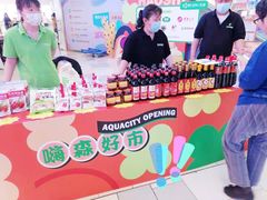 -鹏欣水游城