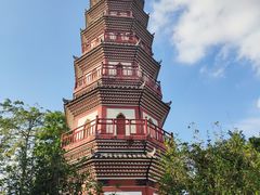 -中山公园(石岐街道)