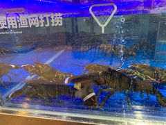 -盒马鲜生(枣园路店)