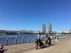 -台场海滨公园船码头