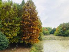 -梁鸿国家湿地公园