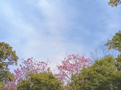 -黄兴公园