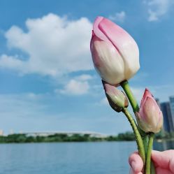 -剑鱼皮划艇俱乐部(石湖基地)