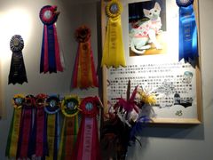 -猫十亿·布偶金渐层·曼基康矮脚猫舍(青年路店)