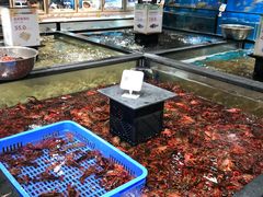 -盒马鲜生(皇庭广场店)