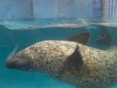 -成都浩海立方海洋公园