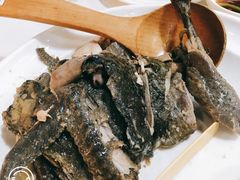 客家黑鸡汤-黑鸡小馆(金源店)