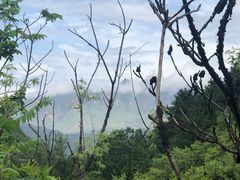 -云岫谷自然风景区