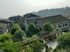 -老幺泉水鸡