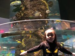 -瑞普利水族馆
