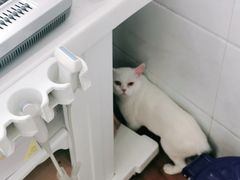 -荔康动物医院(康王北路店)