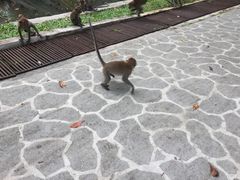 -吉隆坡雀鸟公园