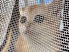 -美联众合动物医院·24h转诊中心